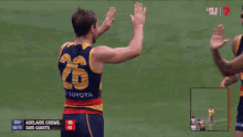 High Five Crows GIF - High Five Crows GIFs