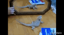 Is That The Other Half Of Me? GIF - Lizard Mirror Justintimberlake GIFs