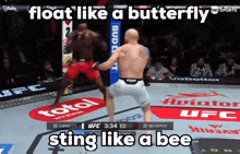 two men are fighting in a boxing ring with the words float like a butterfly and sting like a bee