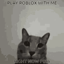Pika Roblox GIF