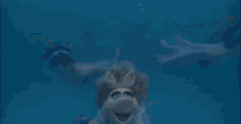 The Great Muppet Caper Miss Piggy GIF - The Great Muppet Caper Miss Piggy Swimming GIFs