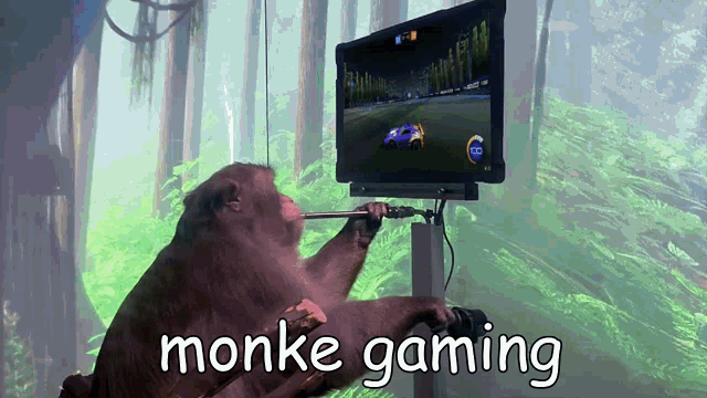 monke-gaming.gif