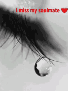 Soulmate Miss You GIF - Soulmate Miss You Tear GIFs