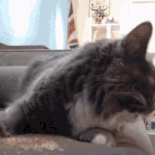a cat laying on a couch with a british flag behind it