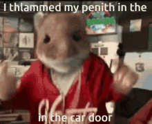 Penith Car Door GIF - Penith Car Door Hamsters GIFs