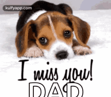 Dad Miss GIF - Dad Miss You GIFs