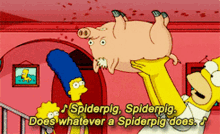 homer simpson simpsons spiderpig whatever does