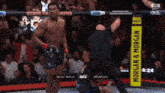 a ufc fight between abdul malik and brundage is being shown