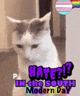 a picture of a cat with the words hate in the south modern day above it