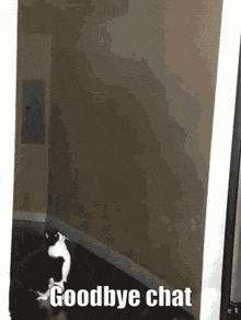Goodbye Chat Cat GIF - Goodbye Chat Cat Ufu GIFs
