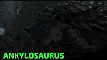 Herbivorous Dinosaurs Jurassic Park GIF - Herbivorous Dinosaurs Jurassic Park Jurassic World GIFs