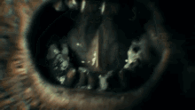 Grit Your Teeth Bite GIF - Grit Your Teeth Bite Zombie Bite GIFs