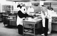 marah panda marah mukul meja kaget dapur