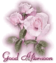 Good Afternoon Rose GIF - Good Afternoon Rose GIFs