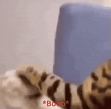 a blurred image of a person with the word boop in red