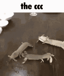 Crayfish Cursed GIF - Crayfish Cursed Stancedup GIFs