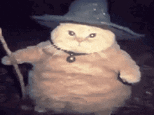 a cat dressed as a wizard is holding a wand .