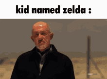 Kid Named Zelda Kid GIF