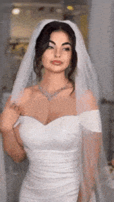 a bride in a white dress and veil is standing in a room .