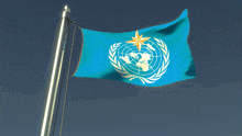 a blue flag with a white globe and a yellow star
