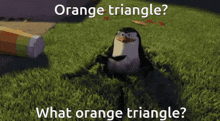 a penguin is sitting in the grass with the caption orange triangle