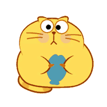 kitty fat