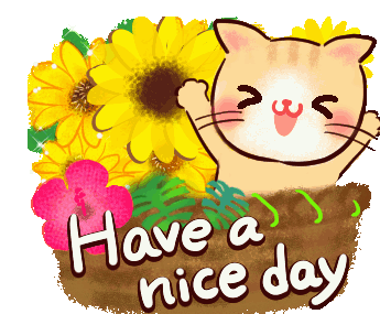Good Morning Have A Nice Day Sticker - Good Morning Have A Nice Day Cat Stickers