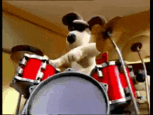 a cartoon dog is playing the drums with a hat on