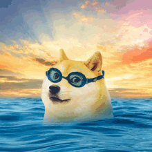 Dogewater Crypto GIF - Dogewater Doge Crypto GIFs