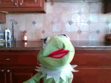 kermit the frog is standing in a kitchen looking at the camera