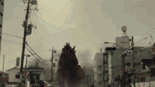Shin Godzilla Roar GIF - Shin Godzilla Roar Angry GIFs