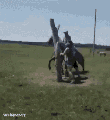 Out Of Control Rodeo GIF