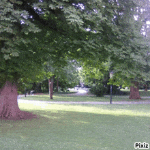 a photo of a park with trees and a street light taken by pixiz