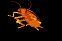 Roach GIF - Roach GIFs