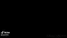 a cartoon drawing of sans from undertale with a tik tok logo