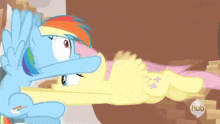 a cartoon of rainbow dash and fluttershy from my little pony hugging