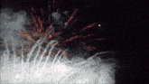 fireworks are displayed in the night sky with a black background