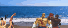 Street Fighter Beach GIF