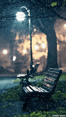 rain raining bench park