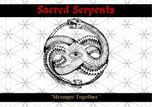 Sacred Serpents Tribex GIF - Sacred Serpents Tribex Tribex Flag GIFs