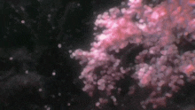 a cherry blossom tree with pink flowers falling from it
