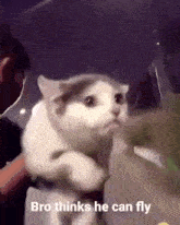 a man is holding a cat in his arms with the words `` bro thinks he can fly '' written on it .
