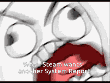 steam rage system report steam rage report