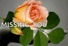 Missing You Flowers GIF - Missing You Flowers Rose GIFs