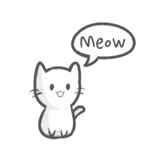 Cat Meow GIF - Cat Meow GIFs