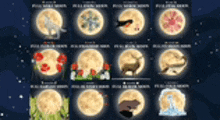 a collection of full moons with different animals and flowers on them