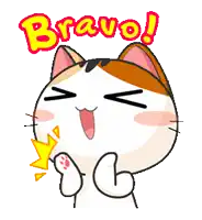 a cartoon cat giving a thumbs up with the word bravo written above it