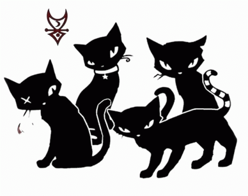 Blackcats Sticker - Blackcats - Discover & Share GIFs