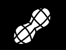 a black and white drawing of a peanut with a grid pattern on it