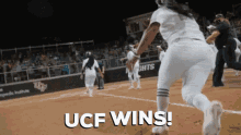 ucf go knights charge on ucf softball ucf ladies